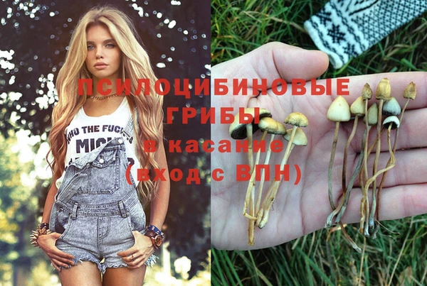 наркотики Богородск