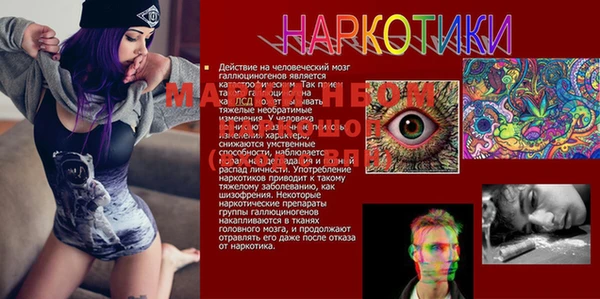 герыч Бронницы