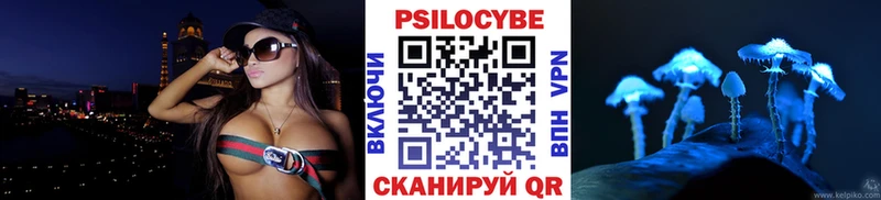 что такое Гатчина Псилоцибиновые грибы мухоморы